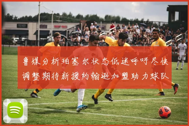 鲁媒分析珀塞尔状态低迷呼吁尽快调整期待新援约翰逊加盟助力球队